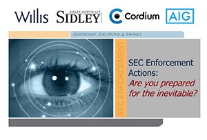 SEC Enforcement Webinar Willis_thumb