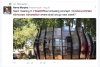 JLL Twitter Post - TreeXOffice