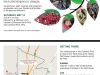 Park Volunteer 2016 Postcard